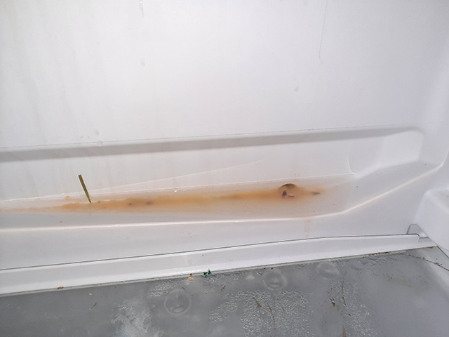 засор дренажного отверстия